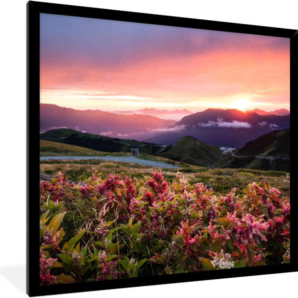 MuchoWow Gerahmtes Poster Blumen - Berge - Landschaft - Nacht - Himmel - Rosa 40x40 cm - Poster mit Schwarzem Bilderrahmen Wandposter Rahmen Foto...
