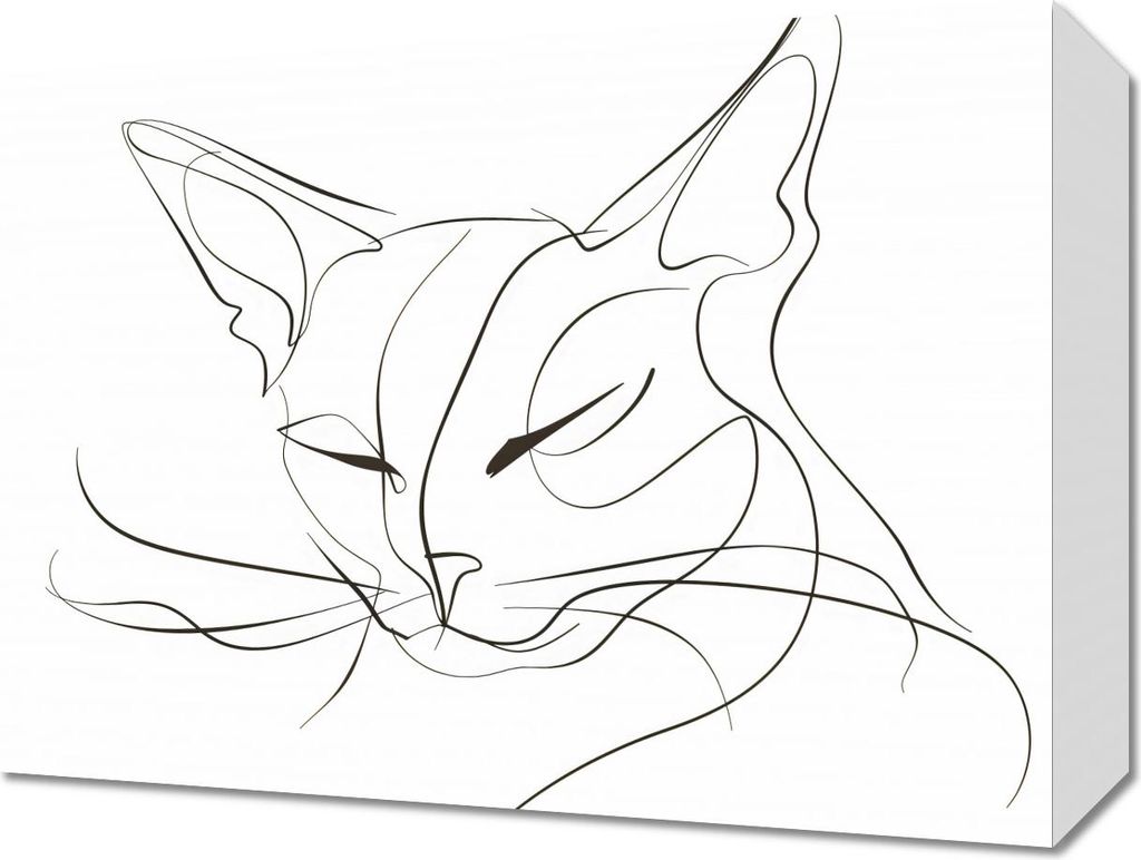 Bild 40x30cm Linien Katze
