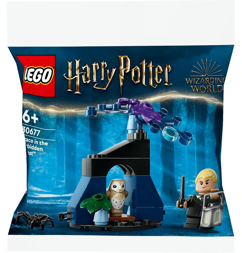 LEGO LEGO® Harry Potter™ 30677 Draco nella foresta proibita Immagine del prodotto 