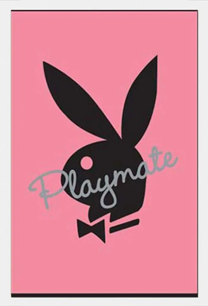 Poster Playboy Bunny Cornice Shinsuke Bianca MDF - Arredo Parete 61x91