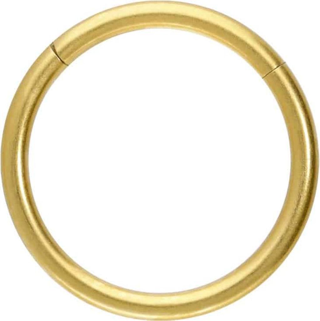 Ohrpiercing, Nasenpiercing, Septum Piercing Titan Segmentring Clicker MATT Gold Innendurchmesser: 11mm + Stabstärke: 1,2mm
