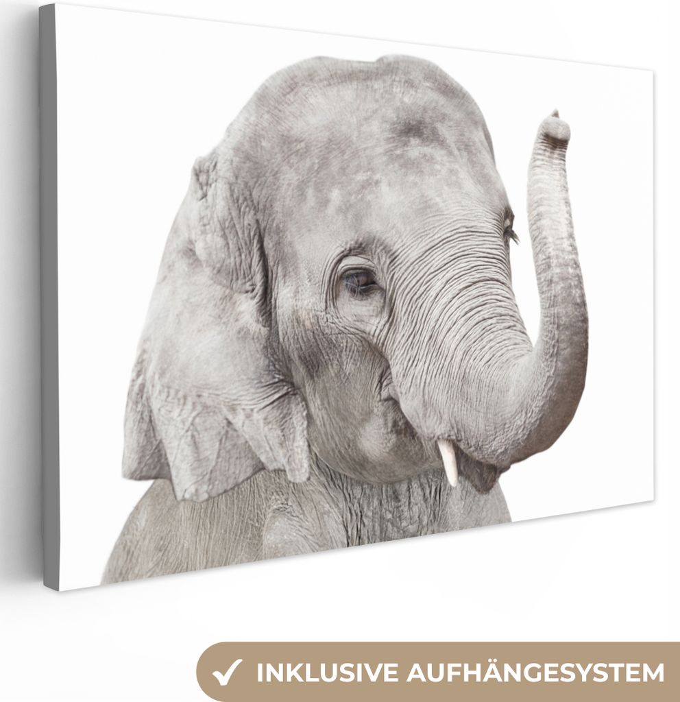 OneMillionCanvasses - Leinwandbilder - 140x90 cm, Elefant - Tiere - Grau - Natur, Wandbilder Kunstdruck Wanddekoration - Foto auf Leinwand - Gem...