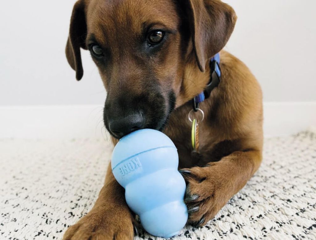 kauspielzeug Puppy 10 cm Gummi rosa Produktbild 5