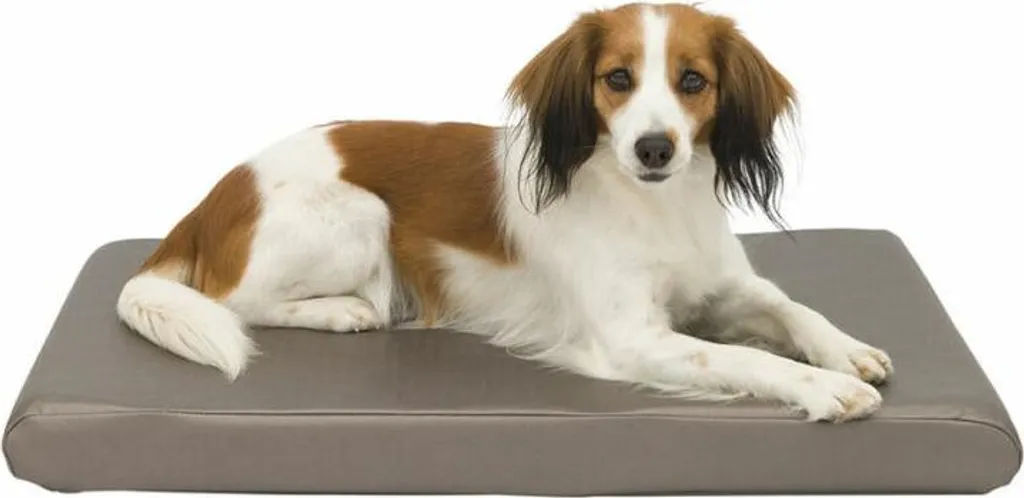 Tapis pour chien et chat Trixie Sansa amovible et confortable