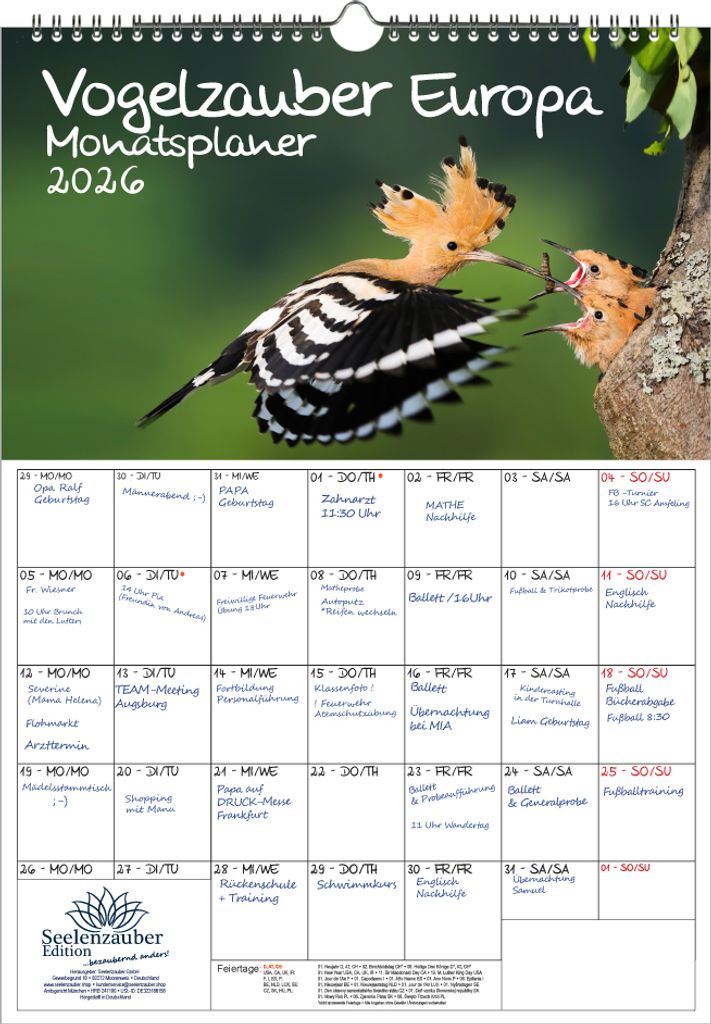 Vogelzauber Europa Planer DIN A3 Kalender für 2026 Vogel - Seelenzauber