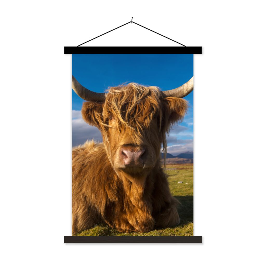 MuchoWow Textilposter Schottische Highlander - Tiere - Gras 60x90 cm mit schwarzem Rahmen - Poster Wohnzimmer