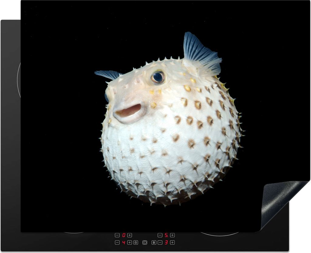 KitchenYeah Herdabdeckplatte Fische - Meerestiere - Porträt , 65x52cm, Küche Deko, Glaskeramikfeld Herdabdeckung, Abdeckplatte fùr Kochfeld