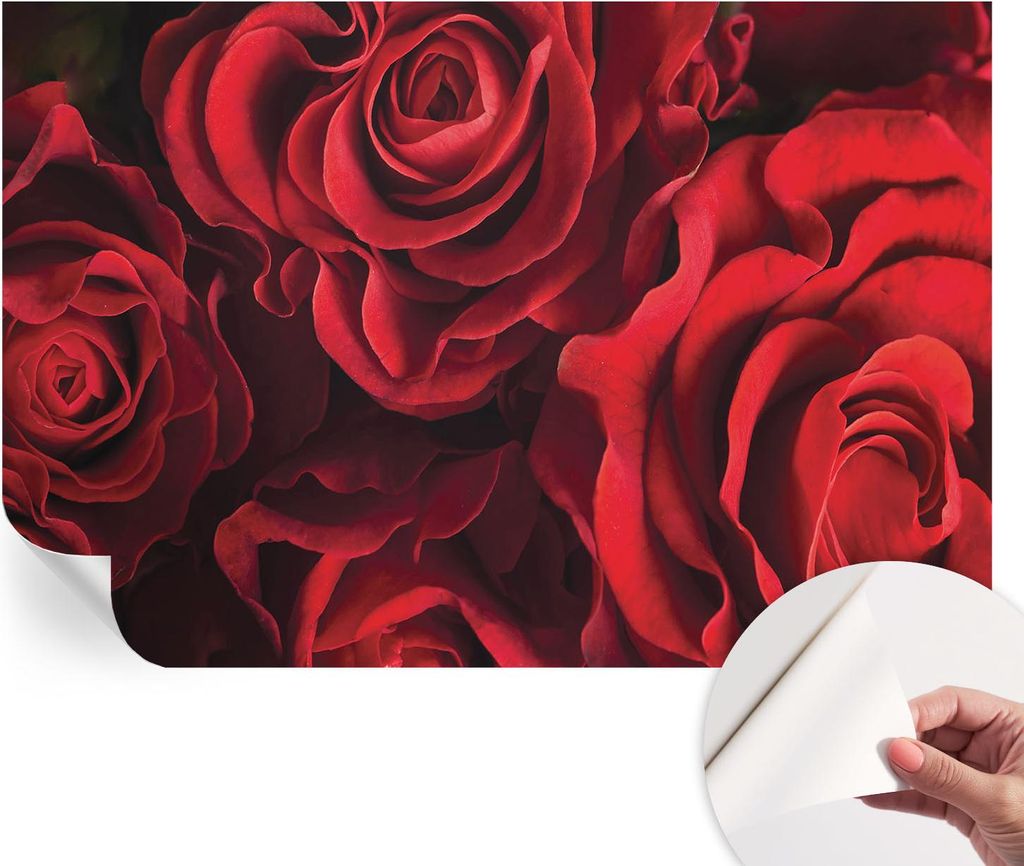 Selbstklebende Wandtapete - Dekorative Tapete für Wohnzimmer - Klebefolie für Wandbilder - Tapetenfolie für Wanddekoration - 104x70 cm - Rote Rosen