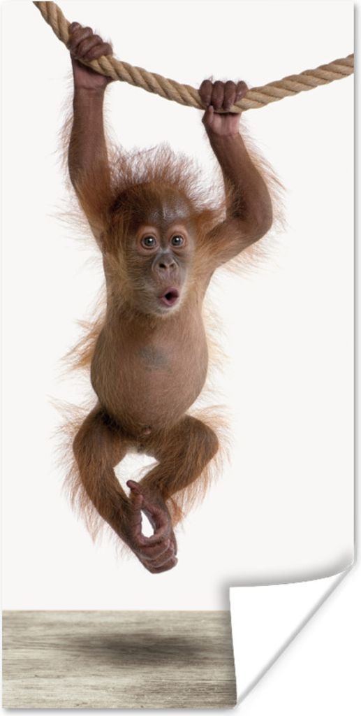 MuchoWow Poster Affe - Tiere - Kinder - Orang Utan - Jungen - Mädchen 20x40 cm - Plakat - Foto