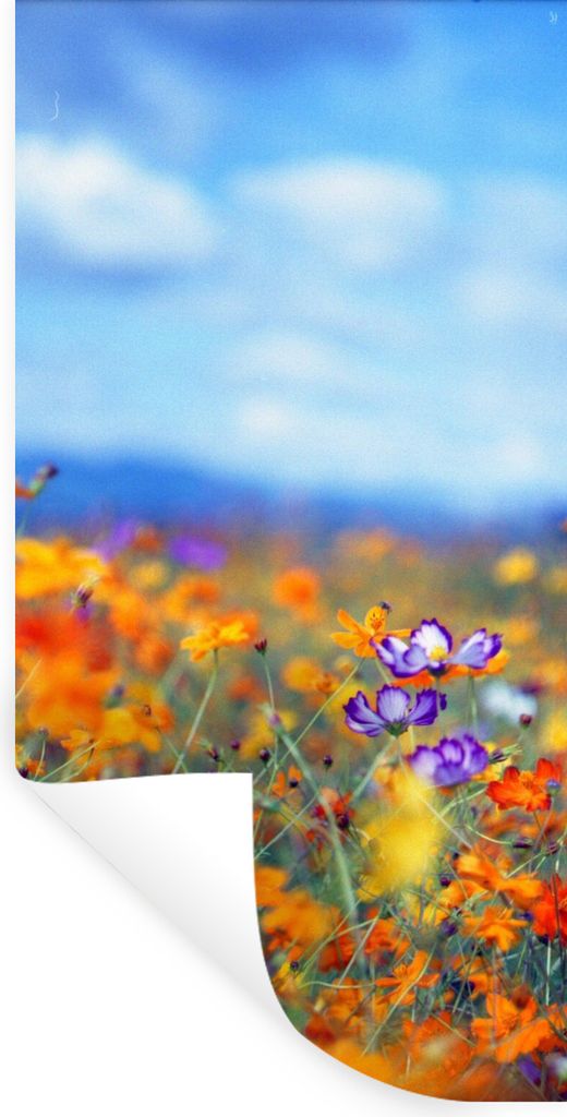 MuchoWow Wandtattoo Wandsticker Wandaufkleber Kosmos - Farben - Frühling 40x80 cm Selbstklebend und Repositionierbar - Repositionierbar - Wasser...