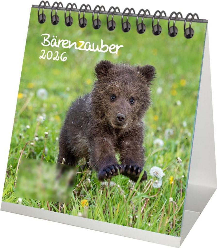 Bärenzauber Tischkalender 10cm x 10cm für 2026 Bären - Geschenkset Inhalt: 1x Kalender 1x Weihnachtsanhänger 1x Grußanhänger (gesamt 3 Teile)