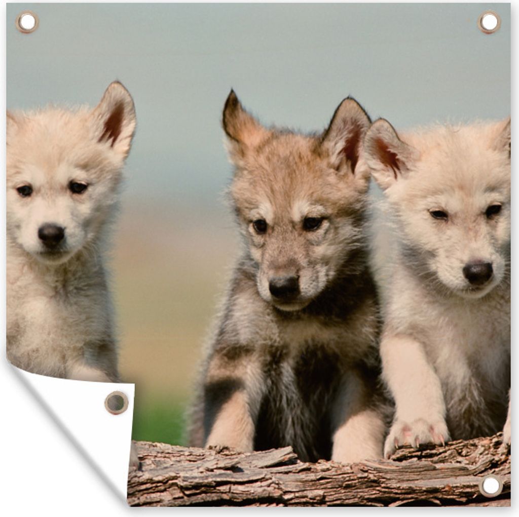 MuchoWow 100x100 cm Outdoor-Poster Gartendeko Sichtschutz Garten Poster für den Garten Wolf - Kind - Holz