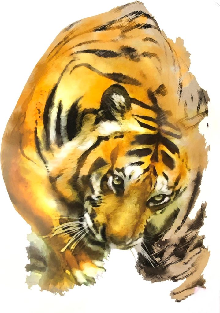Tiger Creeping Indischer Tiger zum Aufbügeln