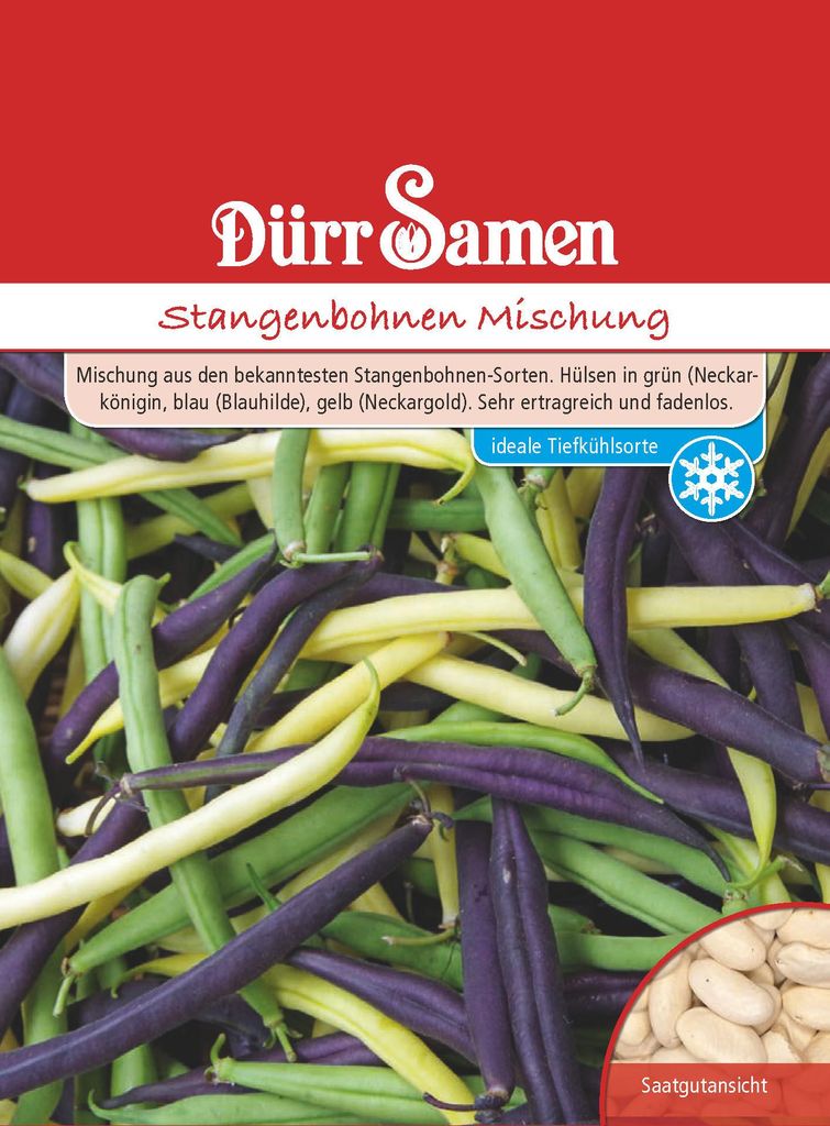 Artikelbild 1 von 'Stangenbohne grün-, gelb- & blauhülsige Stangenbohnenmischung'