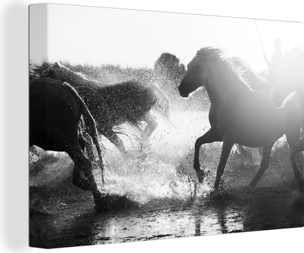 OneMillionCanvasses - Leinwandbilder - 140x90 cm, Pferde - Wasser - Schwarz - Weiß, Wandbilder Kunstdruck Wanddekoration