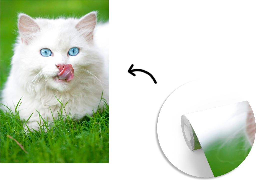 MuchoWow Fototapete für Wohnzimmer oder Schlafzimmer Wandtapete Vinyl Motivtapete Perserkatze mit schönen blauen Augen im grünen Gras - 190x28...