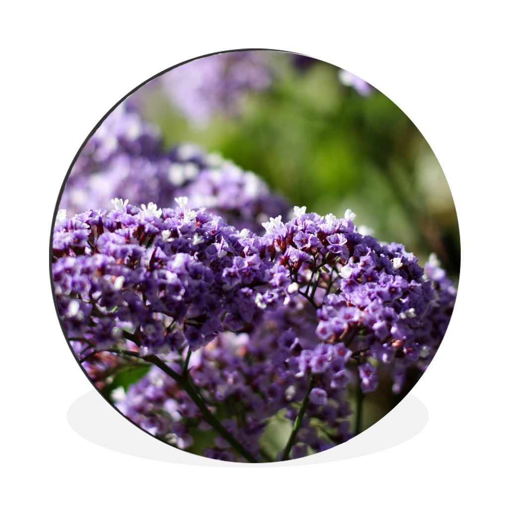 MuchoWow Aluminium Wandkreis Lila Limonium-Blüten vor einem unscharfen Hintergrund Ø 90 cm Wanddeko Modern Wohnzimmer - Mauerkreis - Wandbilder...