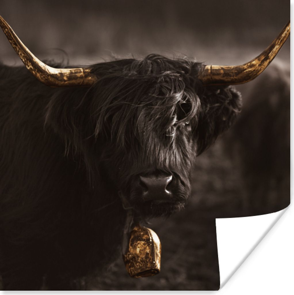 MuchoWow Poster Schottischer Highlander - Gold - Kuhglocke 100x100 cm - Babyzimmer