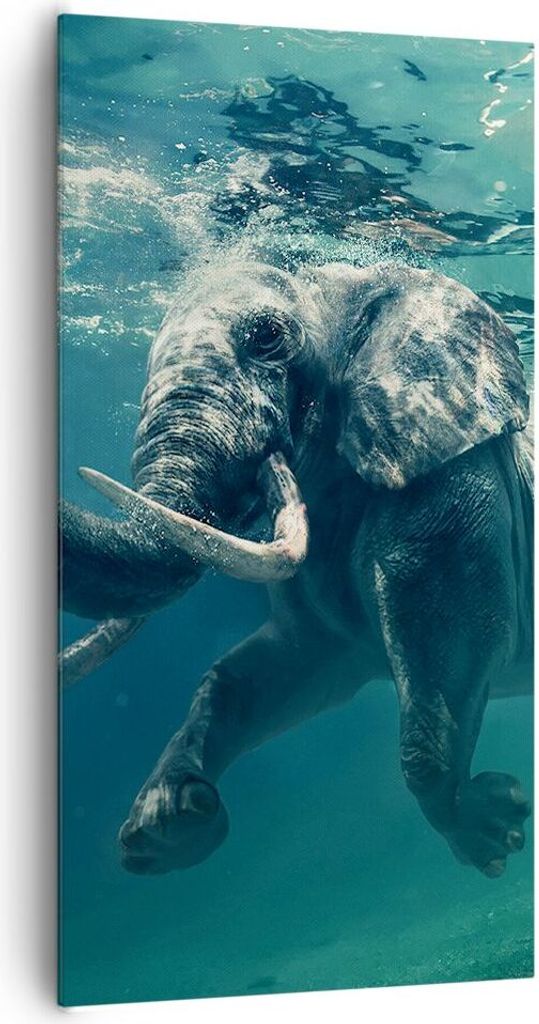 Bild auf Leinwand - Leinwandbild - Elefant Tier Wasser - 65x120cm - Wand Bild - Wanddeko - Leinwanddruck - Bilder - Kunstdruck - Wanddekoration - L...