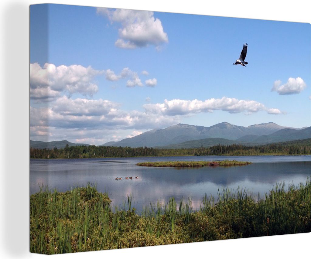 OneMillionCanvasses - Leinwandbilder - 140x90 cm, Vogel mit Beute über einem See in New Hampshire, Wandbilder Kunstdruck Wanddekoration