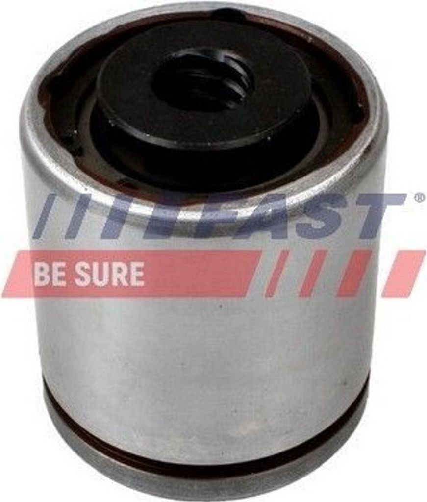 FAST FT32273 - OE 42530520 Kolben, Bremssattel für A6 (4G), C3 II (SC), Punto, Mondeo IV, Escort V, Vario, Boxer, Megane II, Verso S (P12), Camry ...