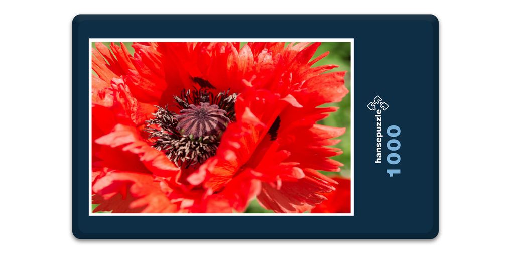 hansepuzzle 16322 - Rote Blüte Puzzle, 1000 Teile, Natur, 60,0 x 46,0cm mit hochwertiger Aufbewahrung, Kartonbox und wiederverschließbarem Beutel