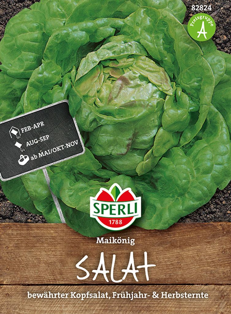 Sperli Kopfsalat Maikönig - Gemüsesamen