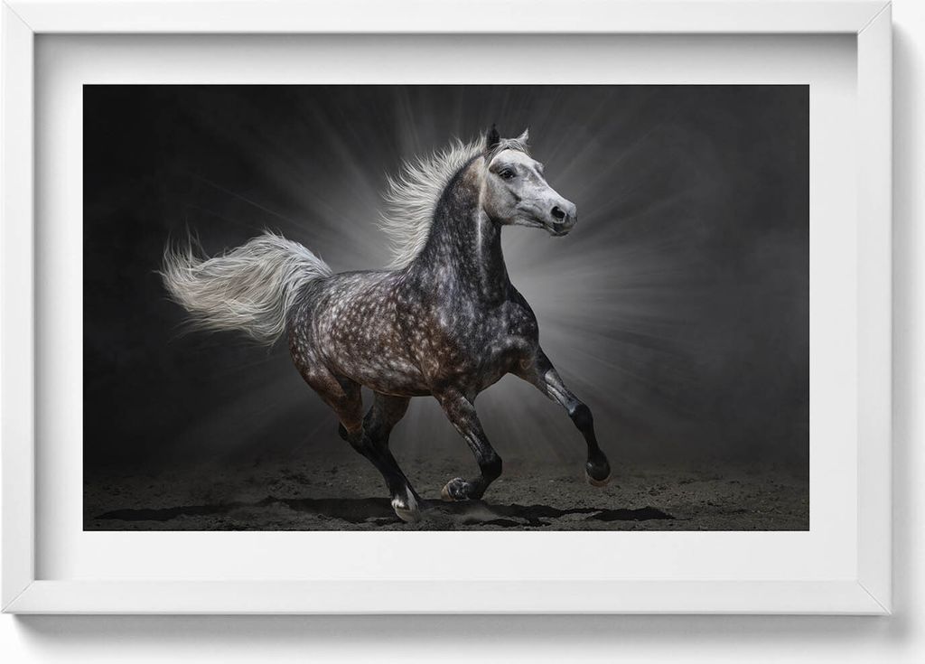 Galoppierendes Pferd– Wandbild mit Rahmen – Gerahmtes Bild – Wanddekoration – 60x40 cm – Schwarz Rahmen