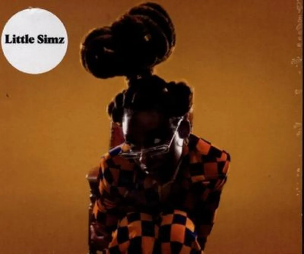 CD Little Simz Album Musique pour Écoute Salon et Soirée Détente