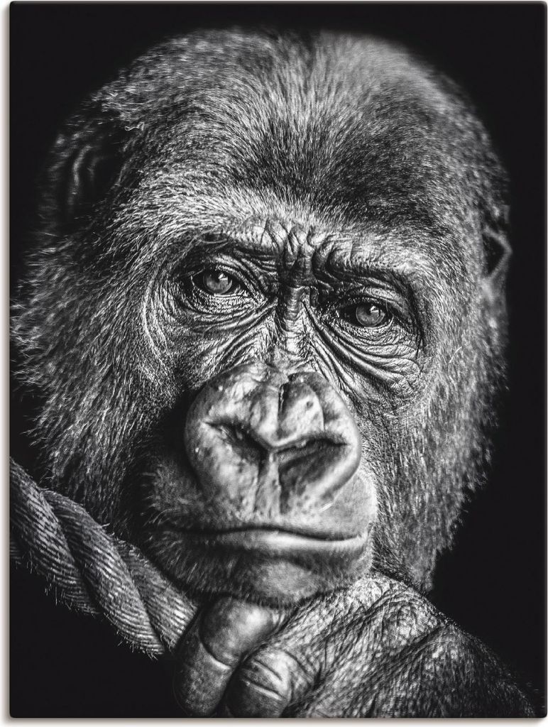 ARTland Leinwandbild Gorilla Größe: 45x60 cm