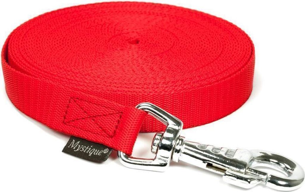 Mystique Nylon Schleppleine 20mm rot 10m robust Karabinerhaken