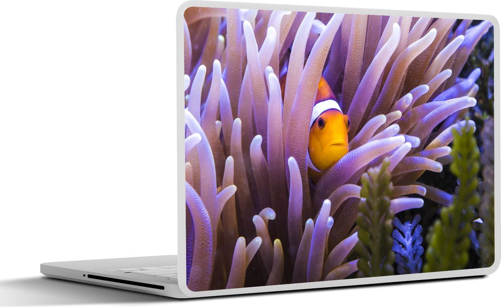 MuchoWow Laptop Aufkleber Sticker Cover Fisch - Anemone - Nemo 32.5x23.5 cm - Sticker für Laptop - Selbstklebend