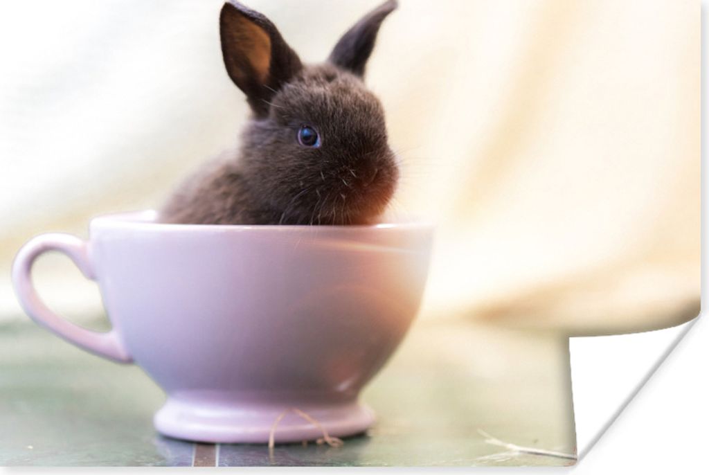 MuchoWow Poster Kaninchen - Baby - Teetasse 60x40 cm - Schlafzimmerdekoration