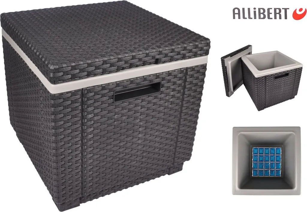 Sgabello Allibert Ice Cube con cool box, colore: grafite - 22