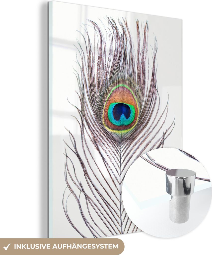 MuchoWow Glasbilder - Bilder auf Wandbild - Foto auf Glas Pfauenfedern - Blau - Feder - Pfau - Tiere 60x80 cm Wanddekoration aus Glas - Acrylglasbi...
