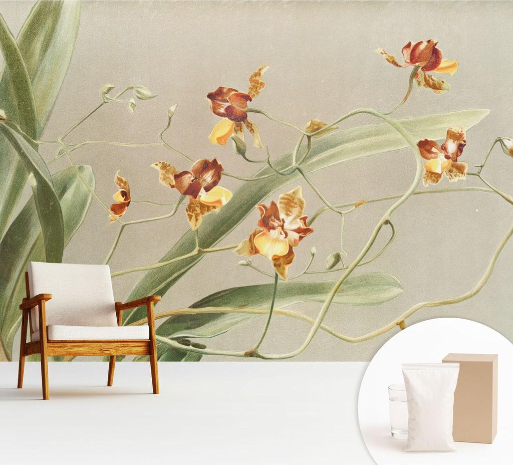 Fototapete - 312x219 cm - Tapete - Wandtapete - Wandbilder - Dekofolie - Tapete Folie - Wand - Dekoration - Wohnzimmer - Klassische Orchideen