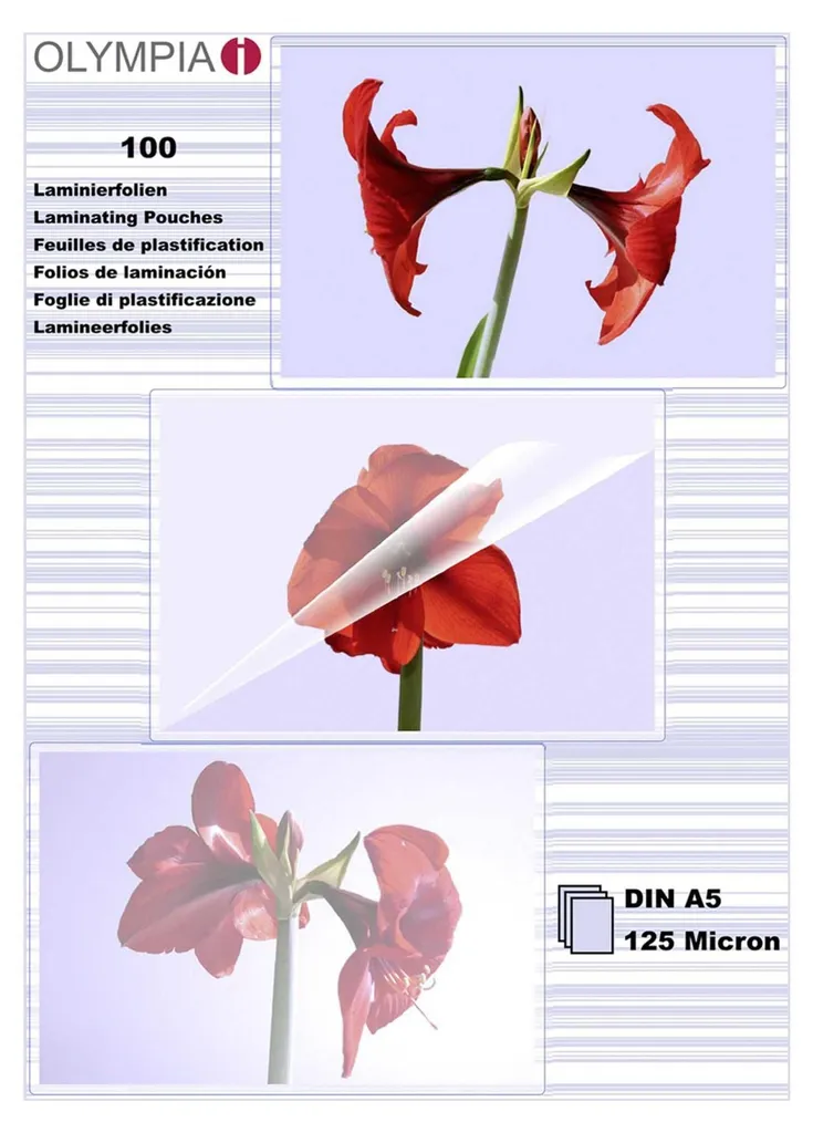 100 Fogli Plastificanti A5 125 Micron Lucidi | Esalta le tue Foto