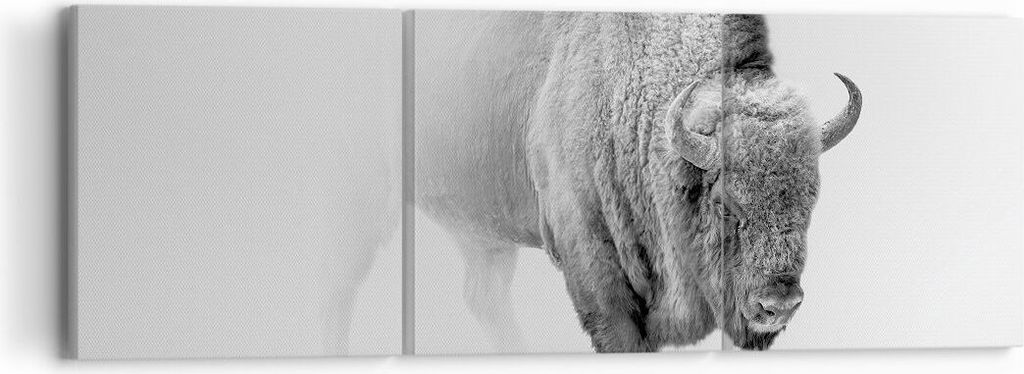 Bild auf Leinwand - Leinwandbild - 3 Teile - Wisent Schwarzweiß Licht - 90x30cm - Wand Bild - Wanddeko - Wandbilder - Leinwanddruck - Bilder - Wan...