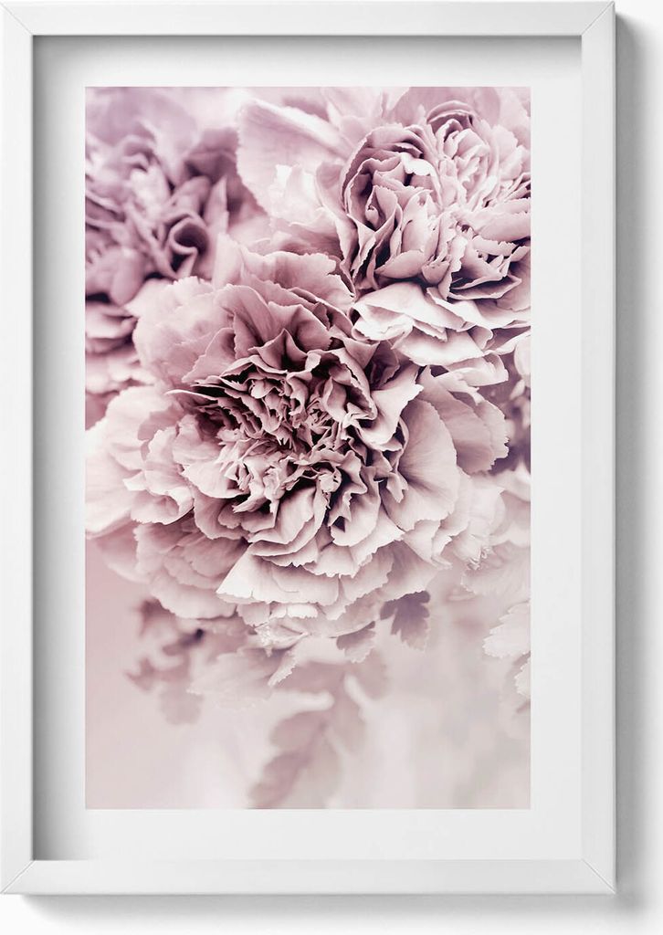 Blassrosa Pfingstrosenblüten– Wandbild mit Rahmen – Gerahmtes Bild – Wanddekoration – 40x60 cm – Weiß