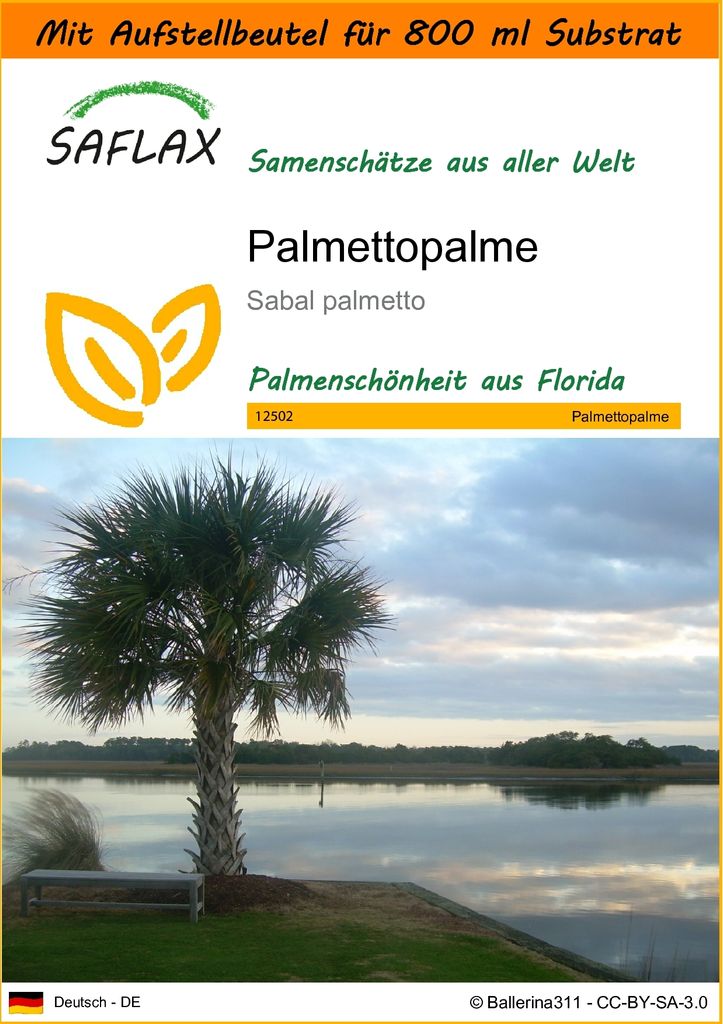 SAFLAX - Garden in the Bag - Palmettopalme - 8 Samen - Mit Anzuchtsubstrat im praktischen, selbst aufstellenden Beutel - Sabal palmetto