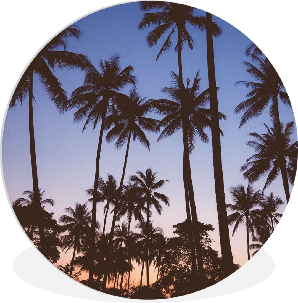MuchoWow Rundes Wandbild - Runde Bilder Palme - Tropisch - Sommer - Himmel Ø 30 cm Kreis Wanddekoration Kunststoff - Wandkreis - Wandschmuck - S...