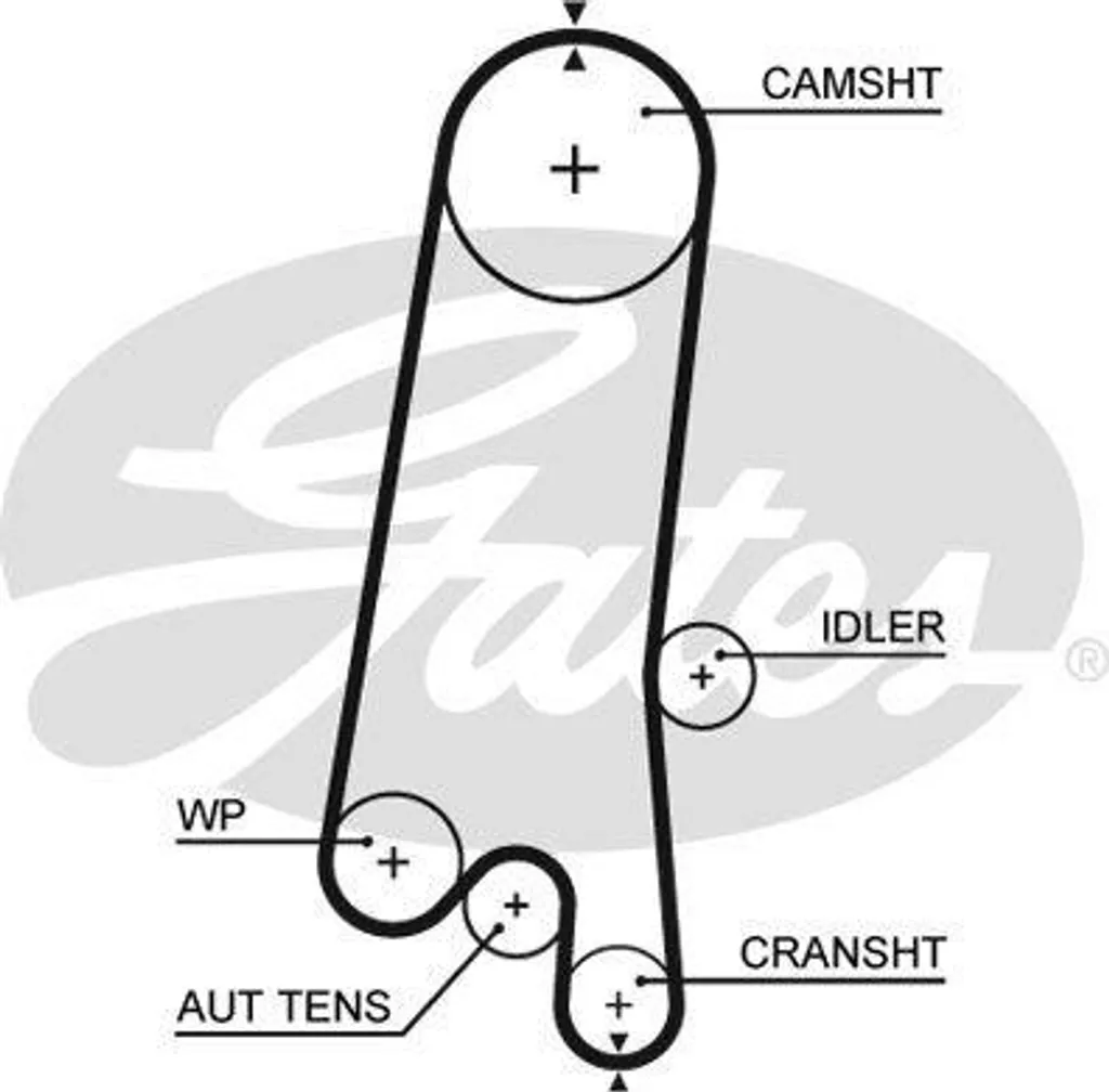 Courroie de rechange pour kit distribution Rezzo Gates 5597XS 127 dts