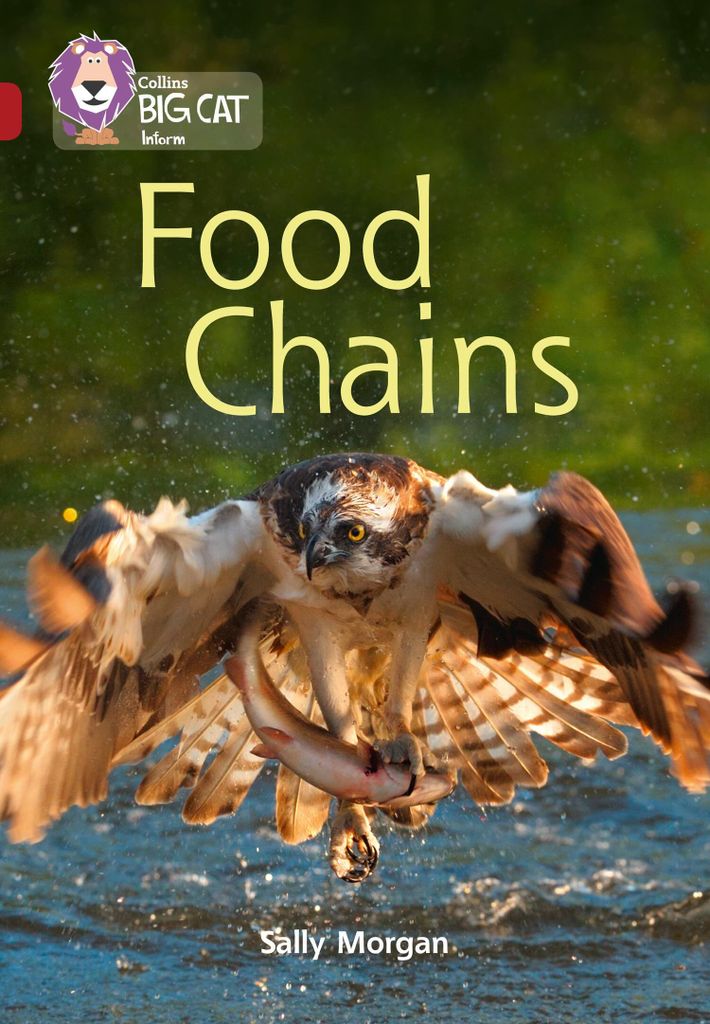 Big Cat-Food Chains
