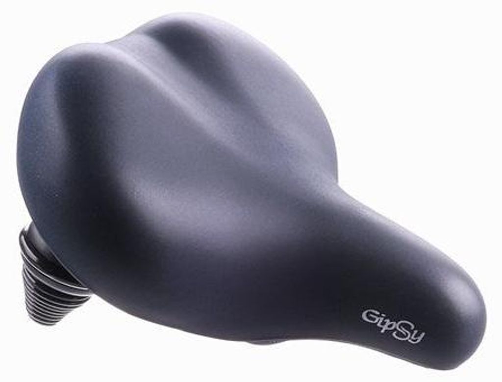 Selle Royal Gipsy Bleu Noir avec sangle Image du produit 