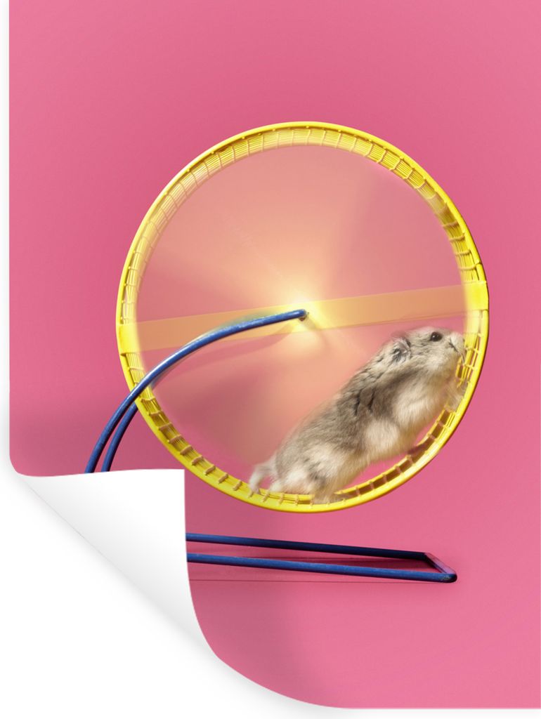 MuchoWow - Repositionierbar - Wasser abweisend