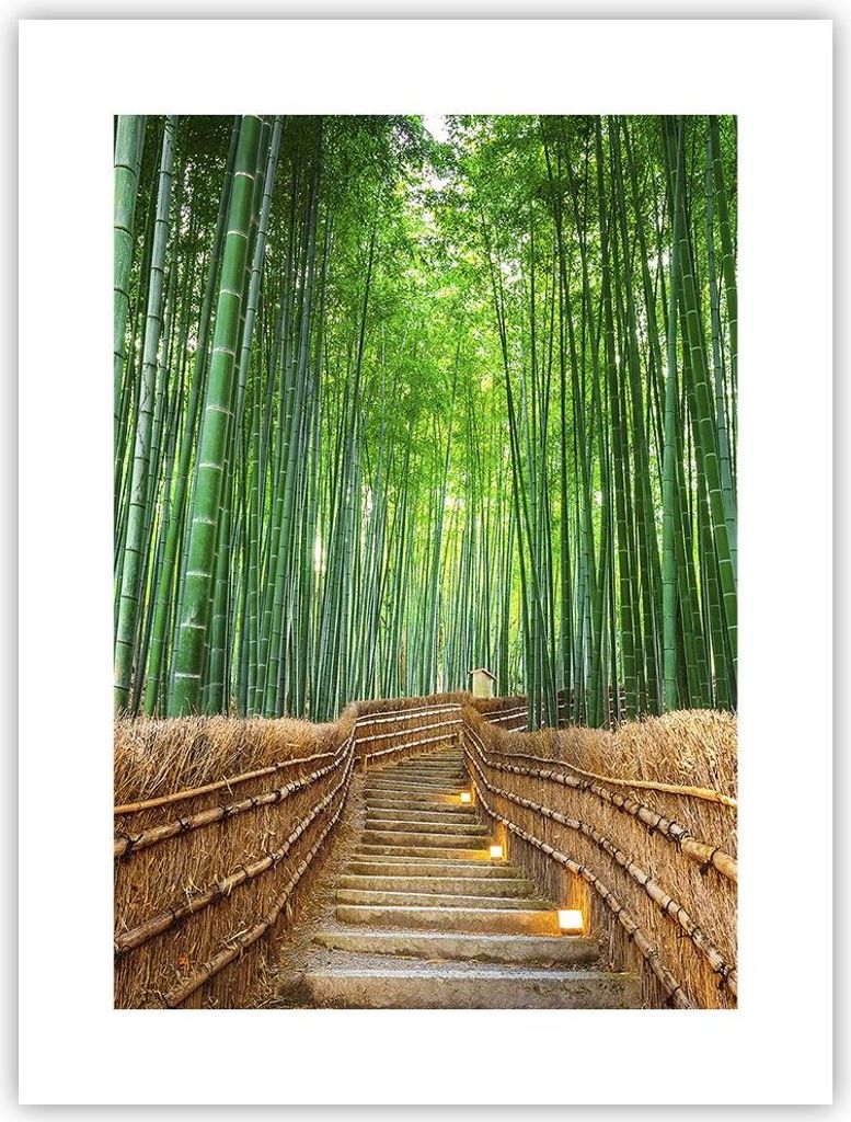 Poster - Poster ohne Rahmen - Bambus Pflanze - 30x40 cm - Wand Bild - Wanddeko - Wandbilder - Kunstposter - Wandposter - Bilder - Kunstdruck - Wand...