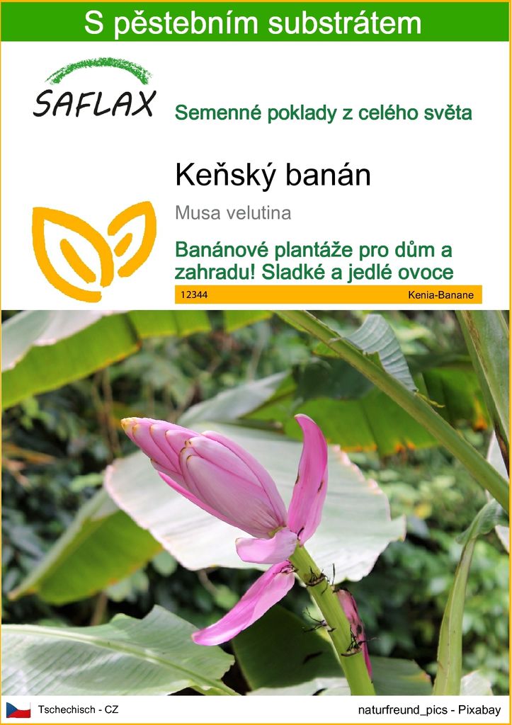 SAFLAX - Keňský banán - Musa velutina - 8 Semena - S Obrázek produktu 
