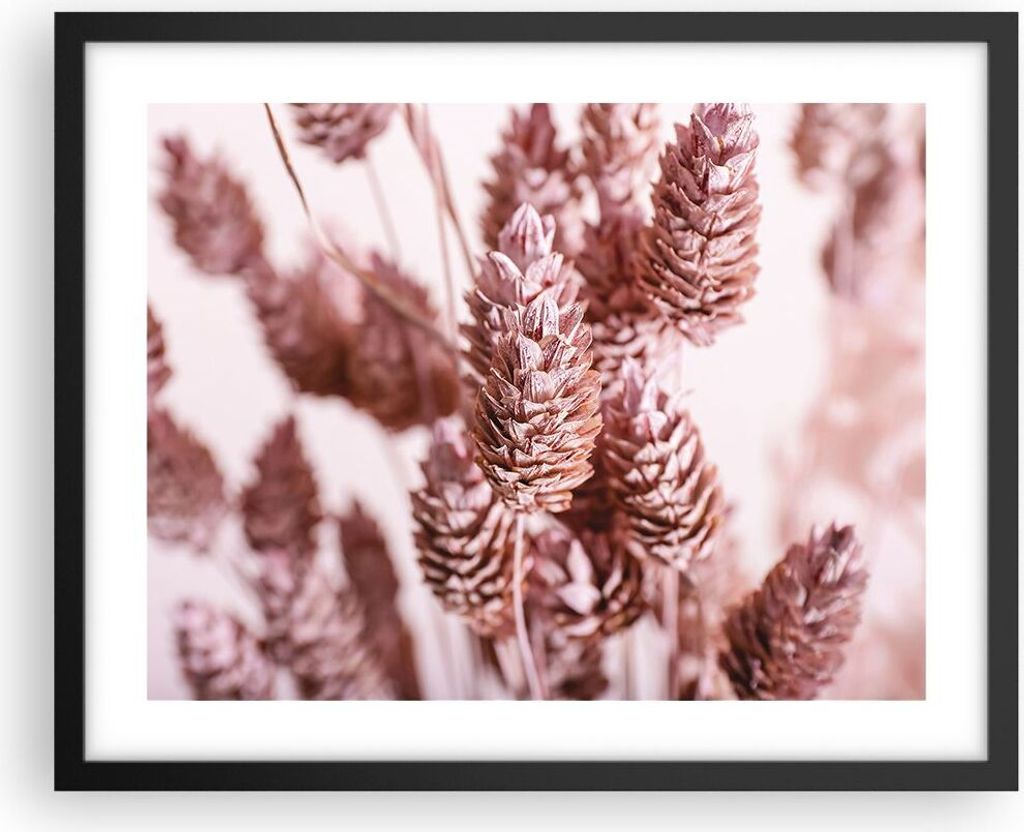 Gerahmtes Poster - Schwarzer Rahmen - Getrocknet Blume Eco - 50x40 cm - Wand Bild - Wanddeko - Wandbilder - Kunstposter - Wandposter - Bilderrahmen...