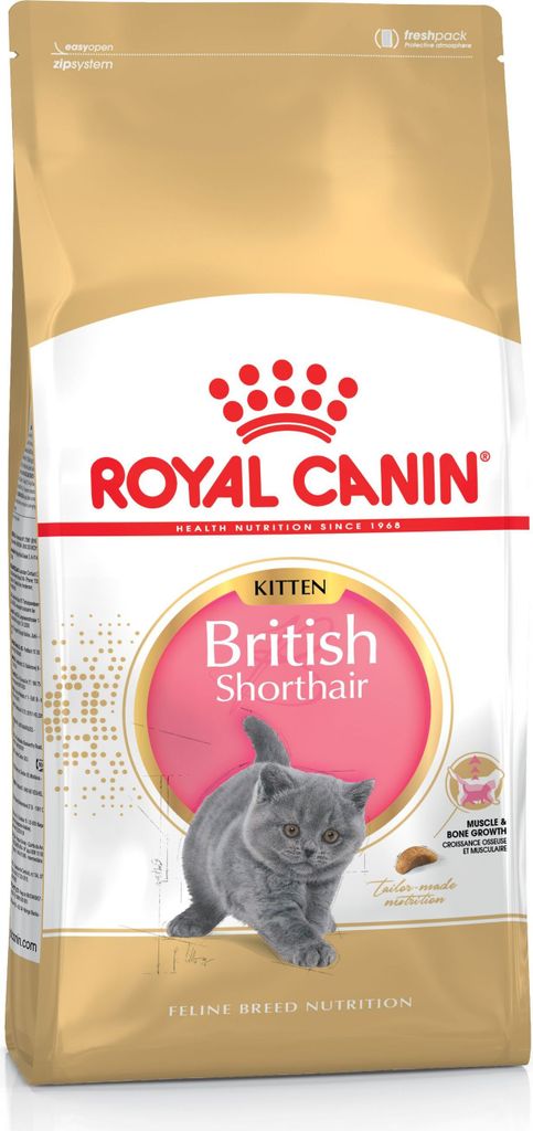 Royal Canin British Shorthair Kitten, Kitten, Britisch Produktbild 