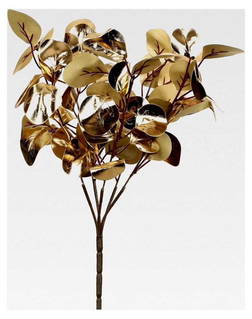 Eukalyptuszweig kurz